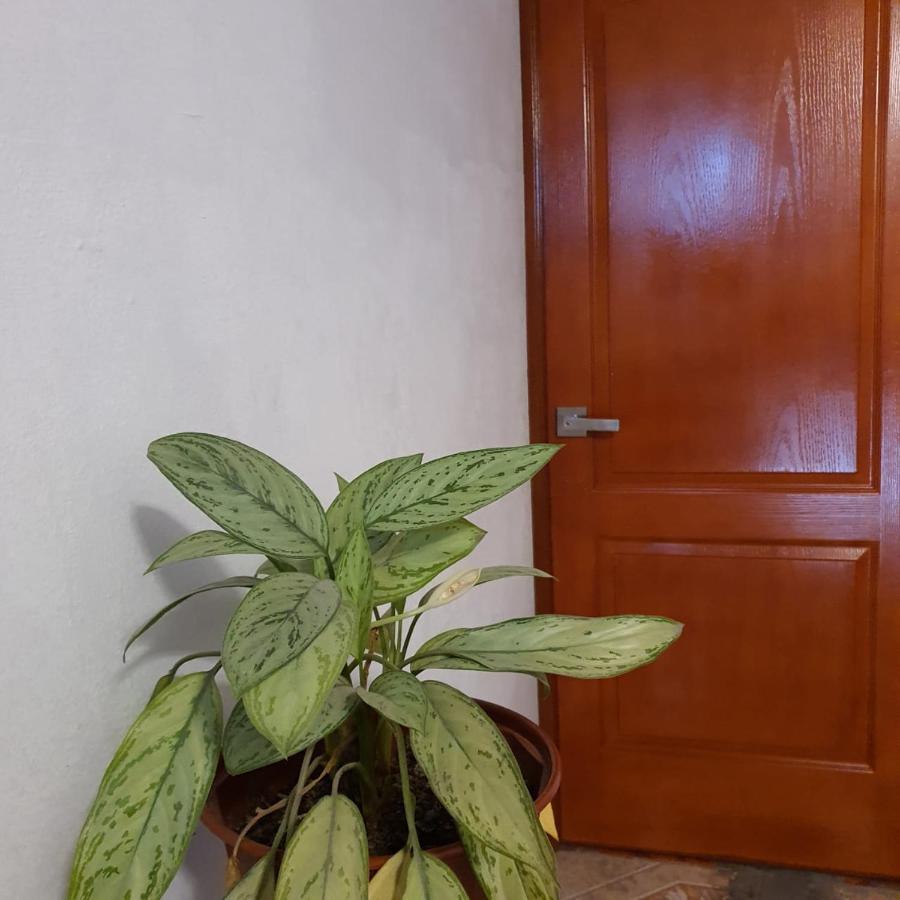 Lima Airport Hostel With Free Airport Pick Up Extérieur photo