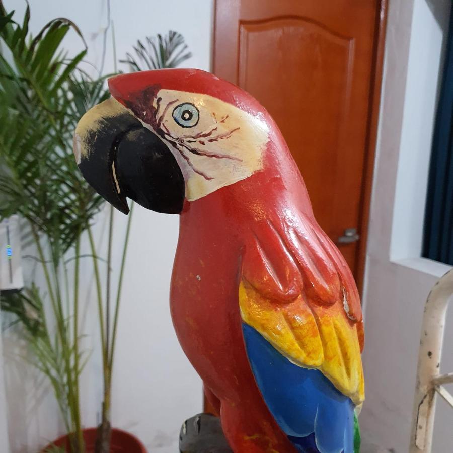 Lima Airport Hostel With Free Airport Pick Up Extérieur photo